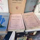 ...due libri di filosofia e fenomenologia di Hegel risalenti al 1863...